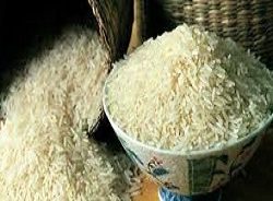 فروش برنج هاشمی بهشهر