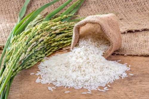 فروشگاه برنج مازندران در کهنوج