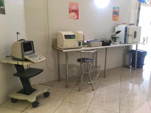 كلینیک دامپزشكی در آمل