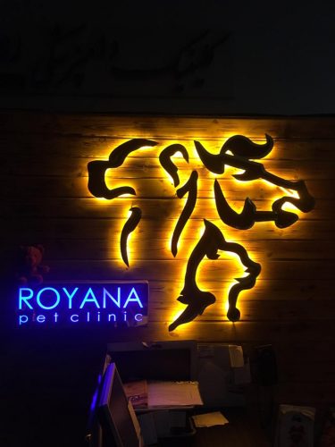 كلینیک دامپزشكی در رویان